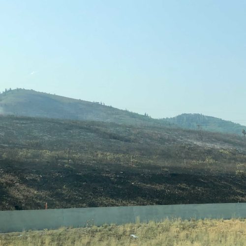 The freshly burned area of the Parley's Canyon Fire, August 16.