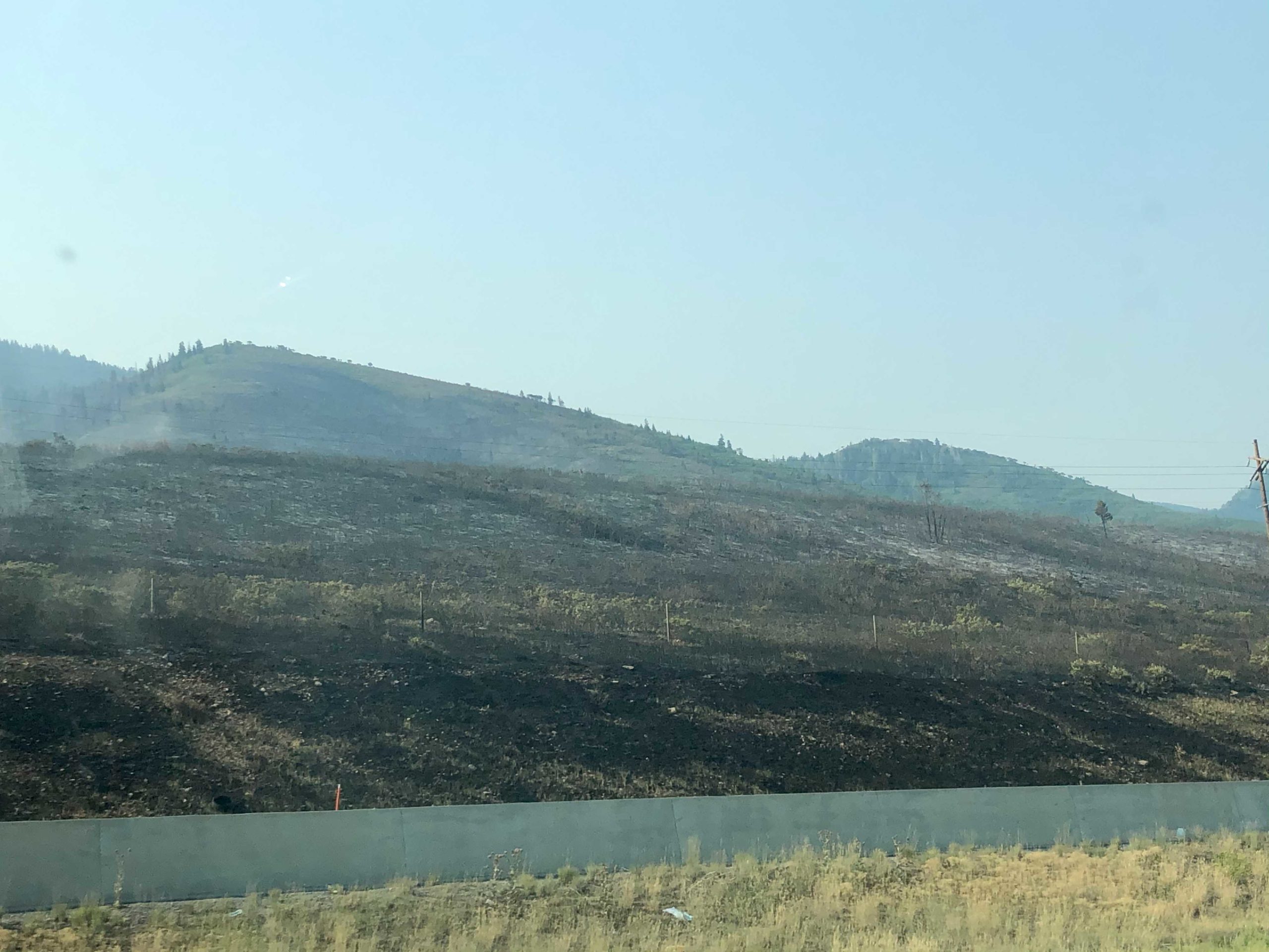 An area burned by the Parley's Canyon Fire, August 16, 2021.