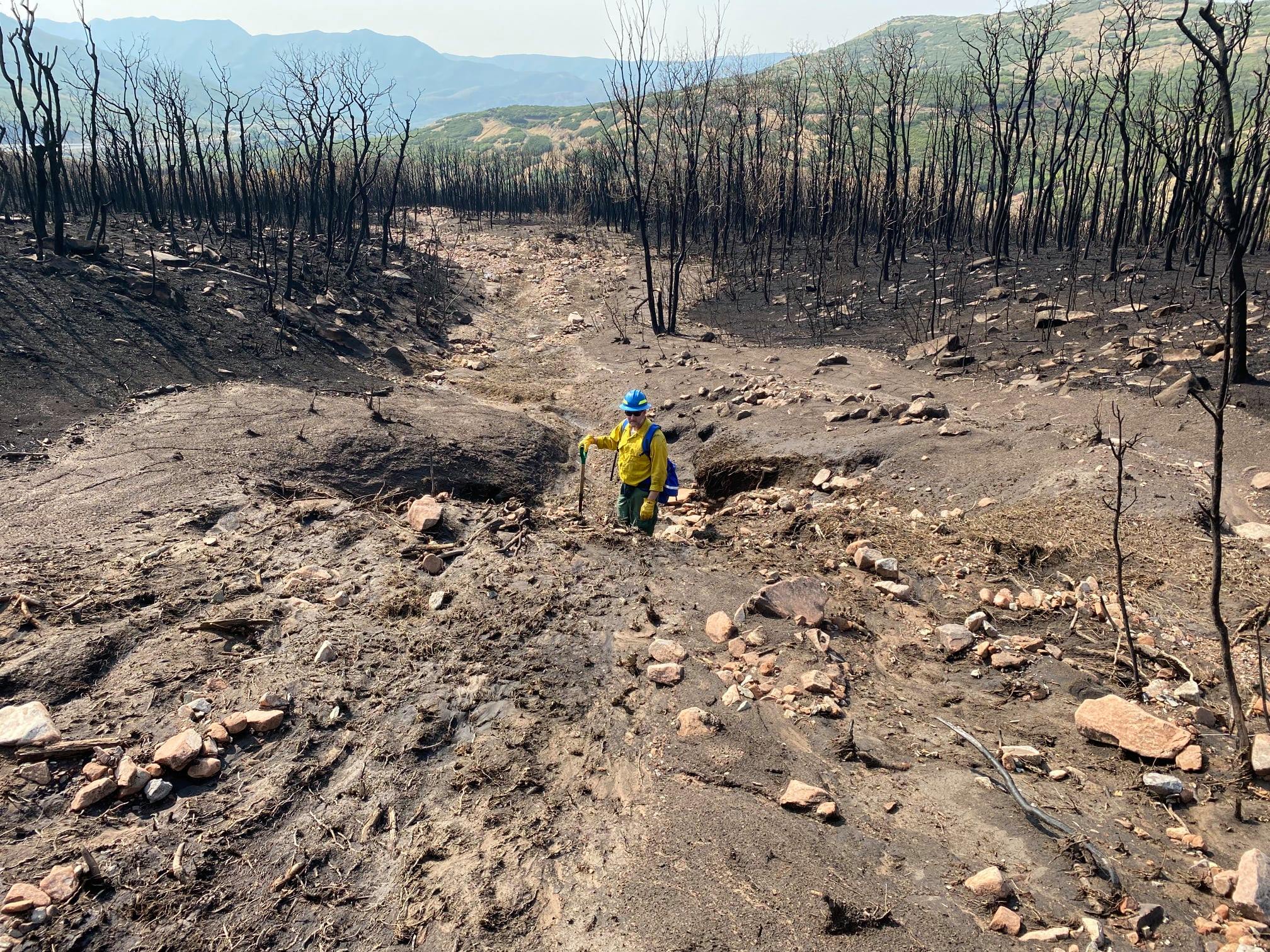 The flood deposits in this picture were observed approximately 0.25 miles above the east bound lanes of I-80.