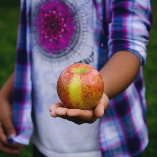 person holding red apple fruit during daytime