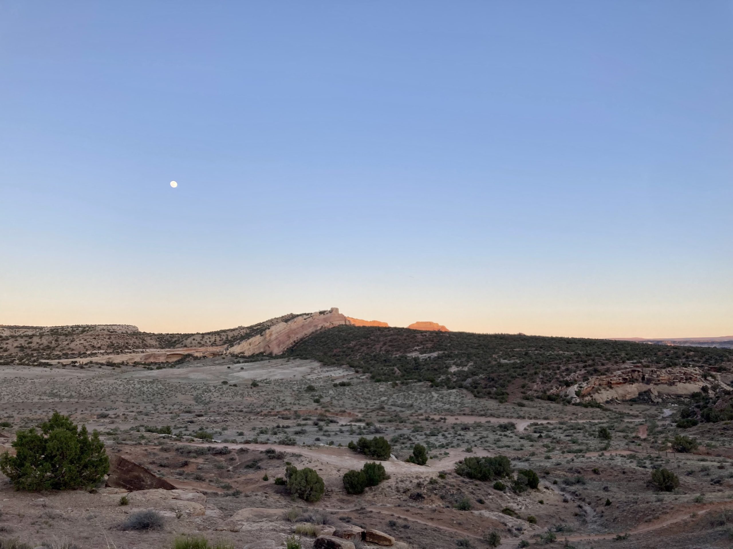 McInnis Canyons National Conservation Area, BLM land just outside of Grand Junction, Colorado.