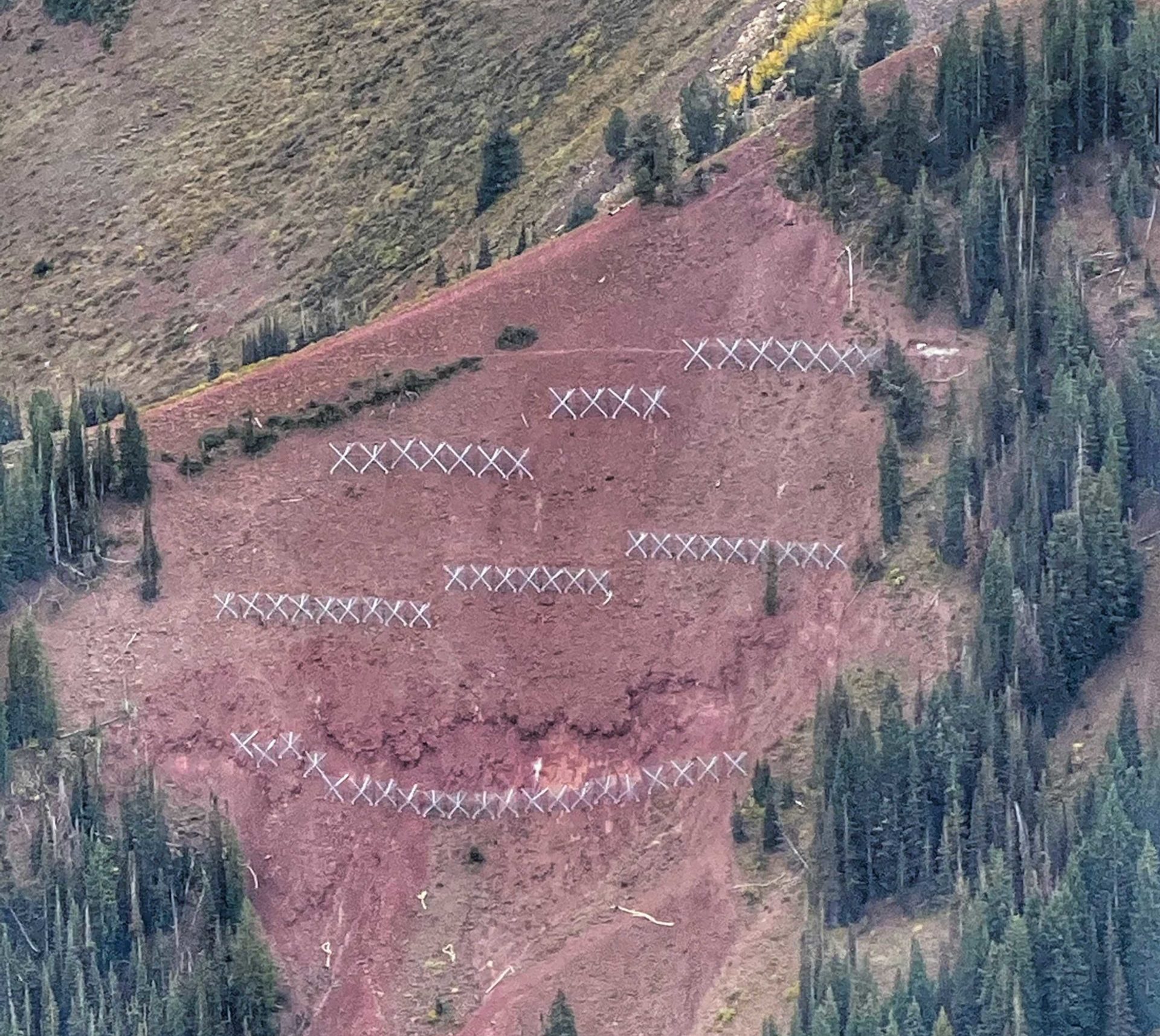 Avalanche fencing within Main Mac, above Dreamscape at Park City Mountain (The Canyons).