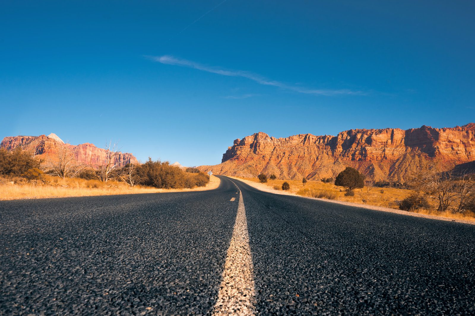 Zion National Park is one of the nation's most popular parks. National Park Service data shows the park saw nearly 676,000 visitors in June.