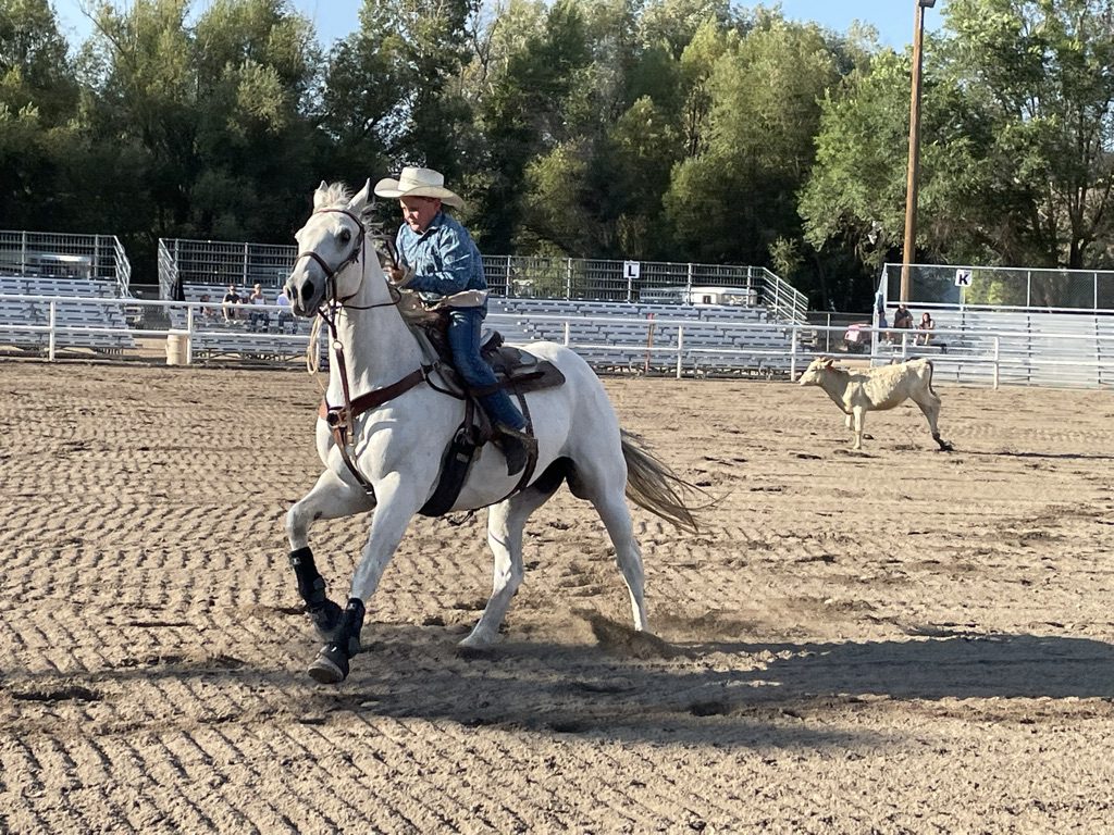 The Little Buckaroo Rodeo at the Summit County Fair.