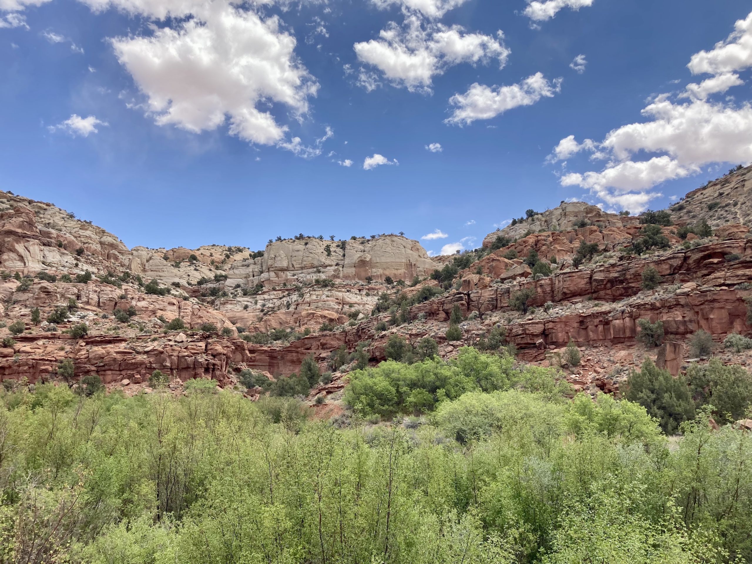 Escalante, Utah.