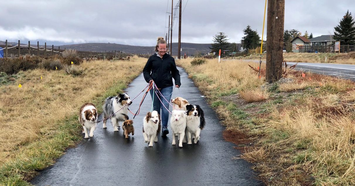 Samantha Bednar of Active K9 Utah Dog Training Center in her natural habitat.