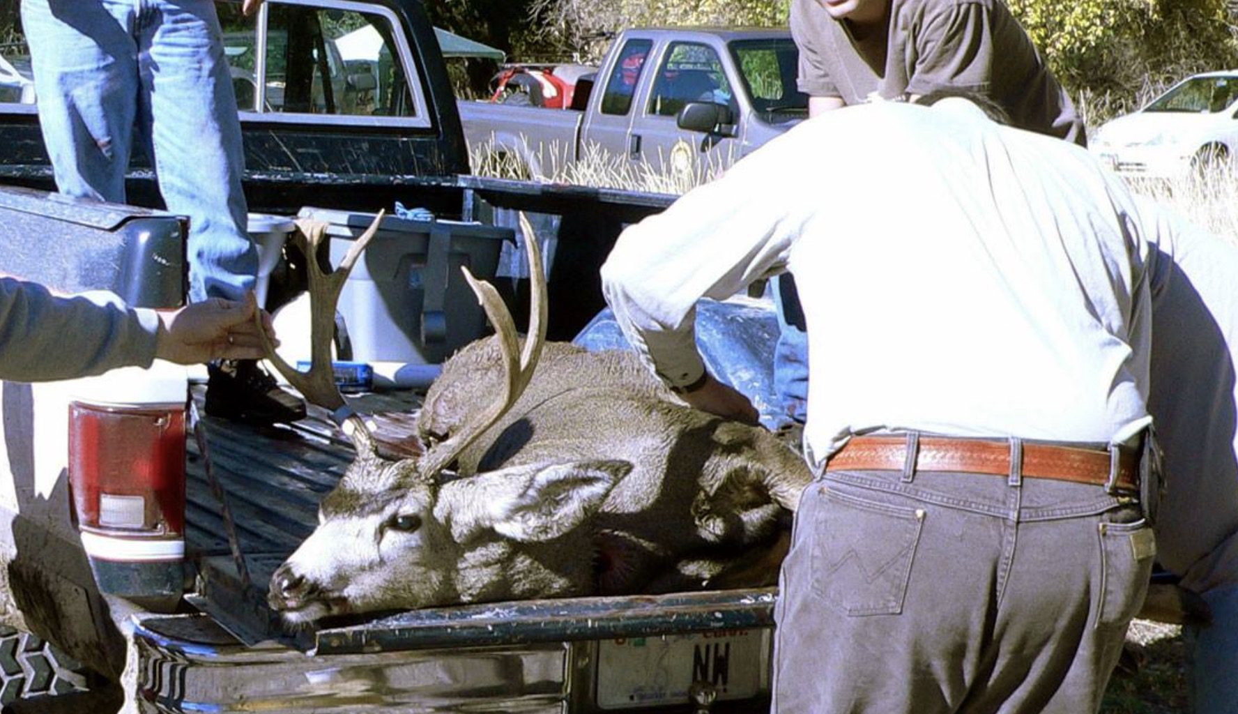 Chronic wasting disease is a relatively rare transmissible disease that affects the nervous systems of deer, elk and moose.