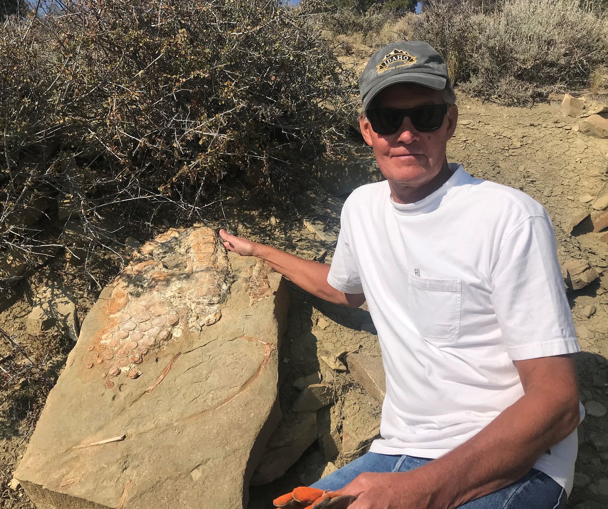 Alan Dailey with the block of sandstone with ichthyosaur fin, vertebrae, and ribs that he found in May, right before the team collected it on September 8.