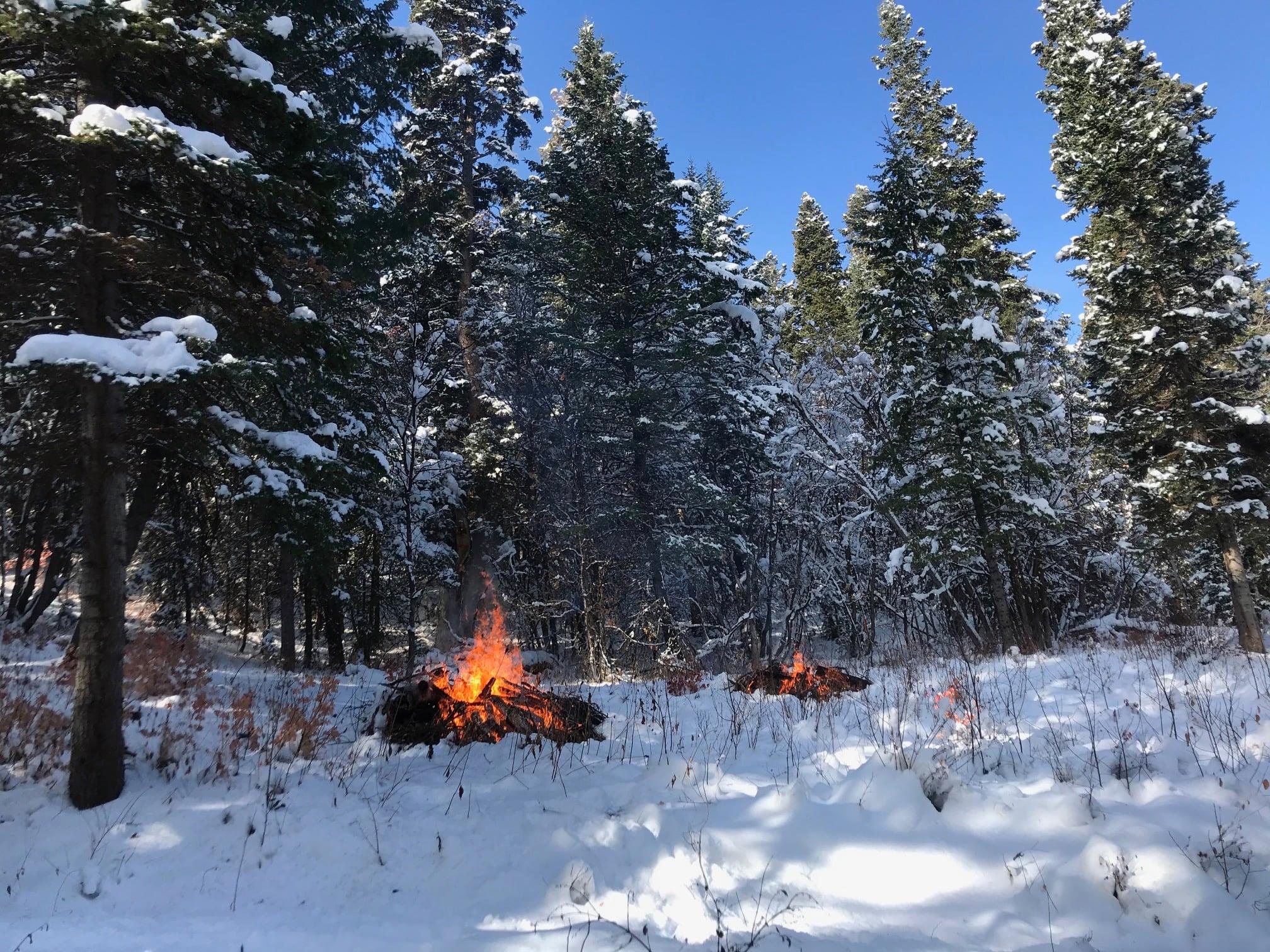 Fire mitigation efforts in Summit Park as part of the Parley's & Lambs Canyon Fuels Reduction Project.