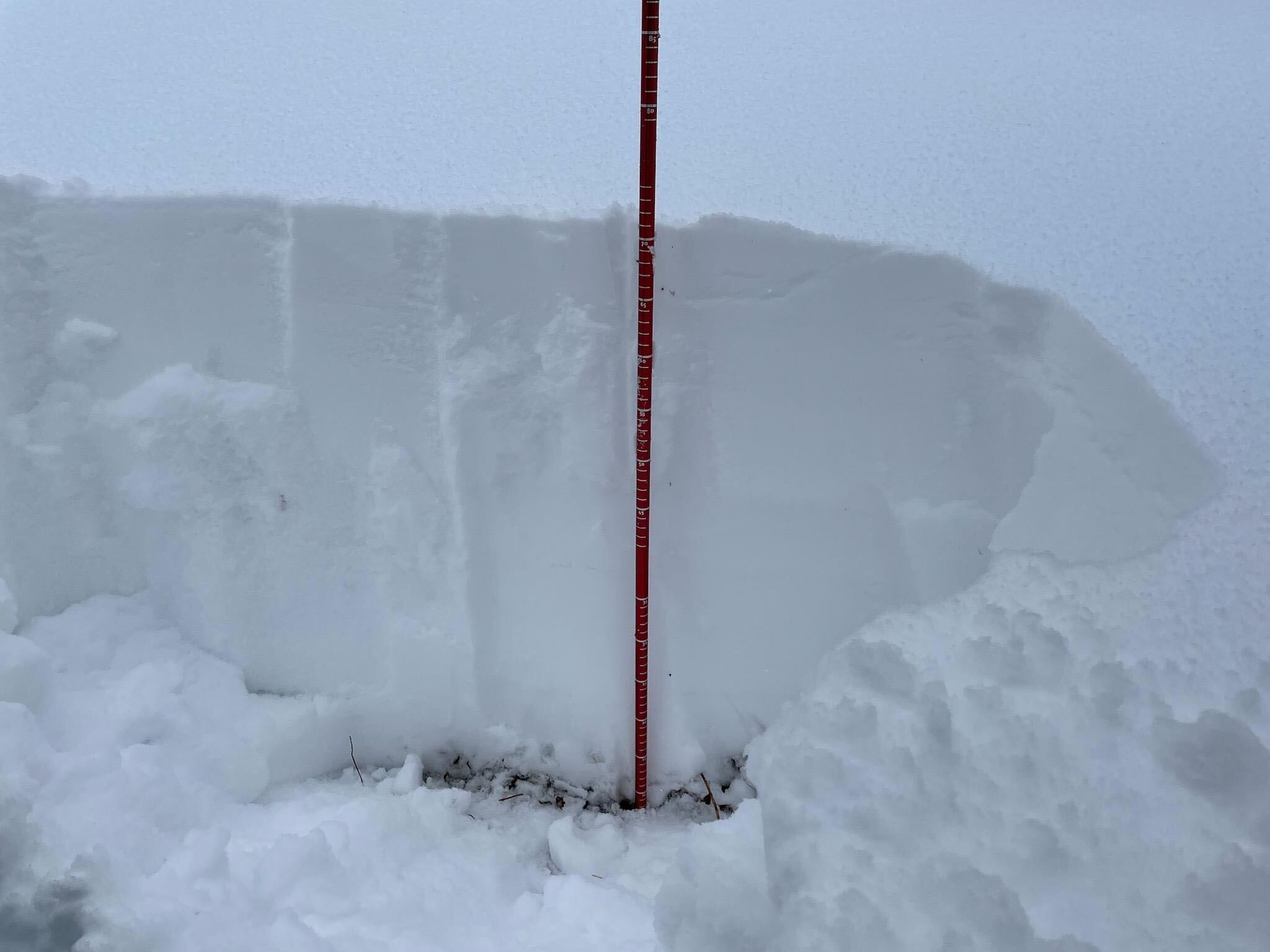 70 cm of chowder at 9,900 feet at Alta Ski Area.