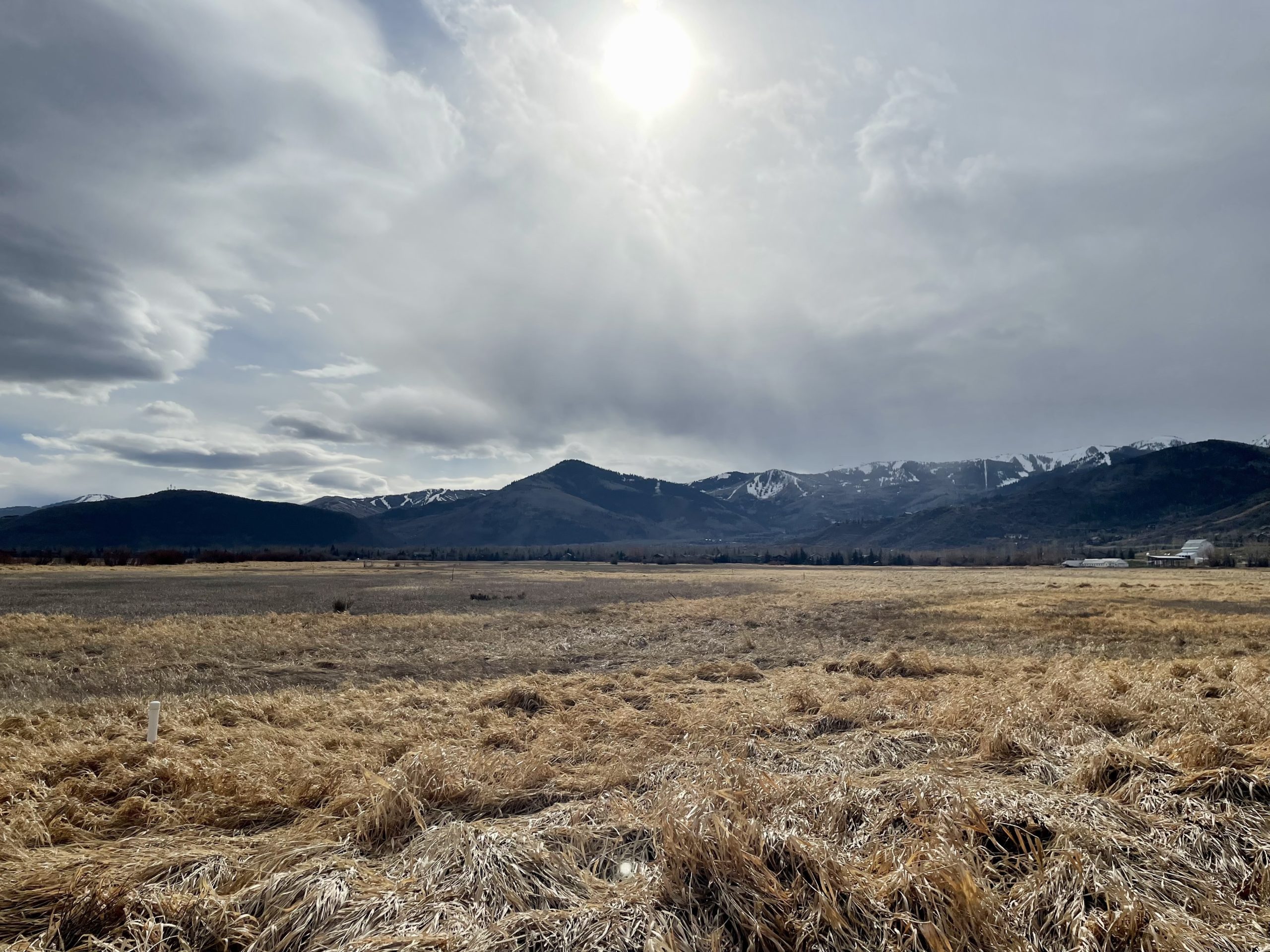 Swaner Preserve on Friday afternoon.