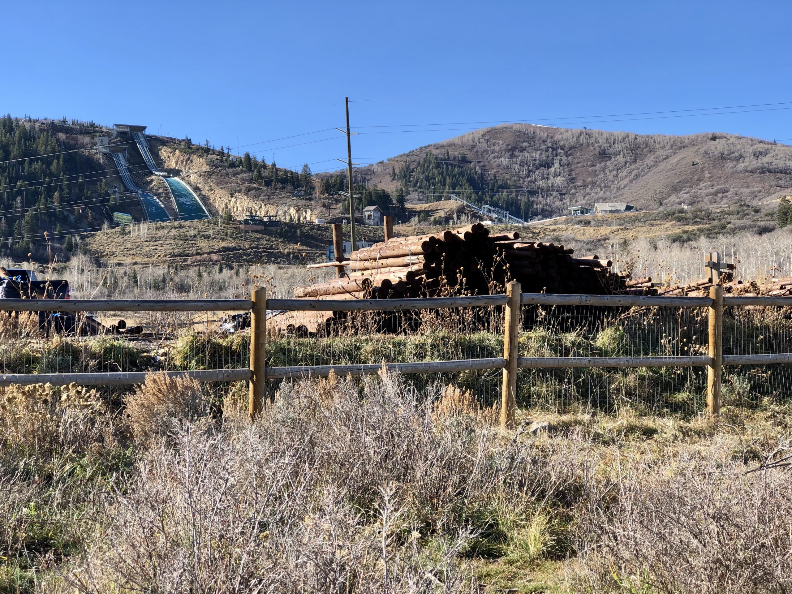 SNAPPED: The Golden Poop at the Run-A-Muk Dog Park - TownLift, Park