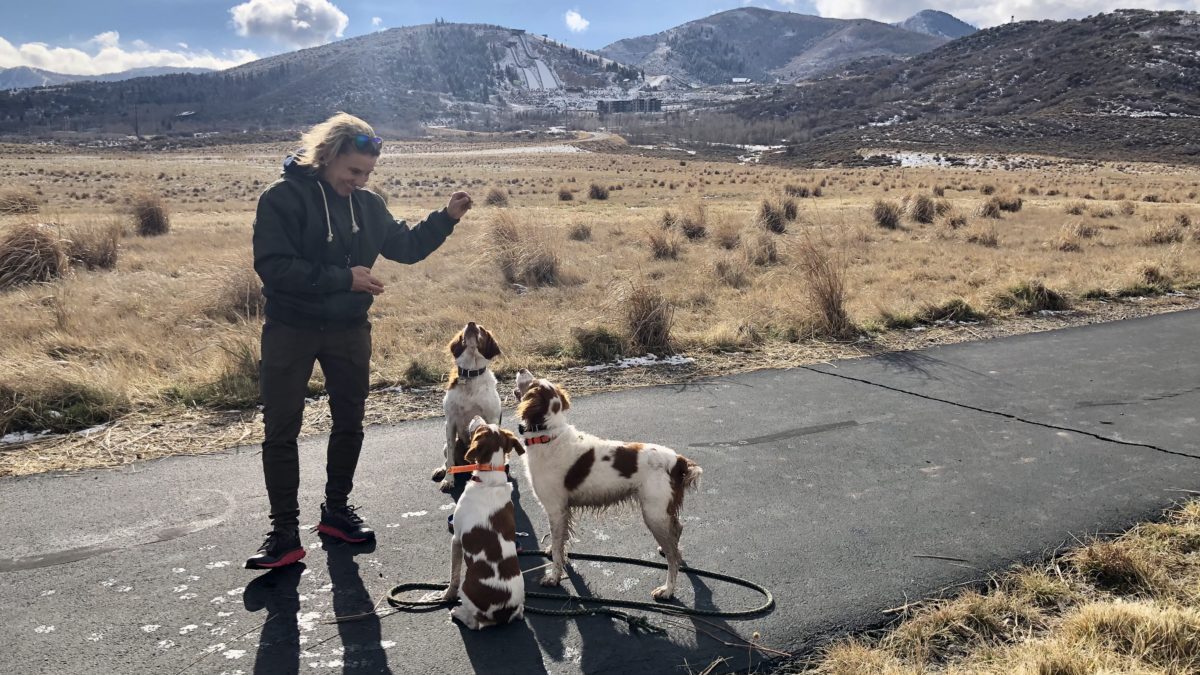 Tracy Evans, three-time Olympian walking her hunting dogs in the shadow of the Utah Olympic Park where she trained in aerials.
