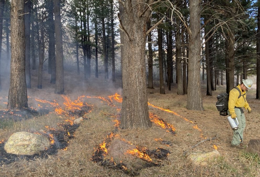 Controlled burns in the Heber-Kamas Forest Service district this month, as part of the Ponderosa Restoration Project.