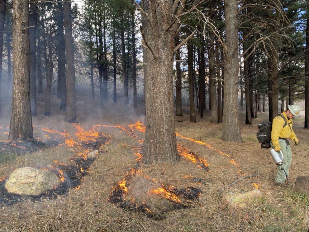 Controlled burns in the Heber-Kamas Forest Service district this month, as part of the Ponderosa Restoration Project.