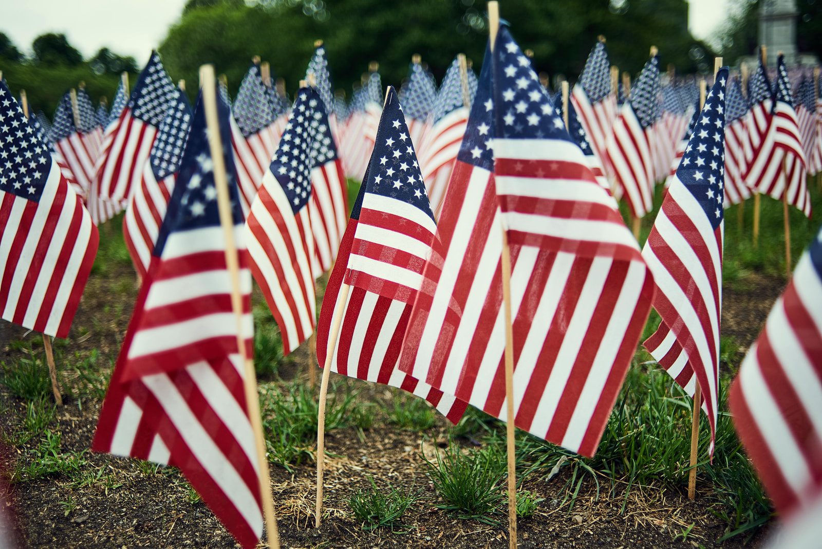 150 American flags will be set up by the National Ability Center at the Miners Hospital all week for Veterans Day.