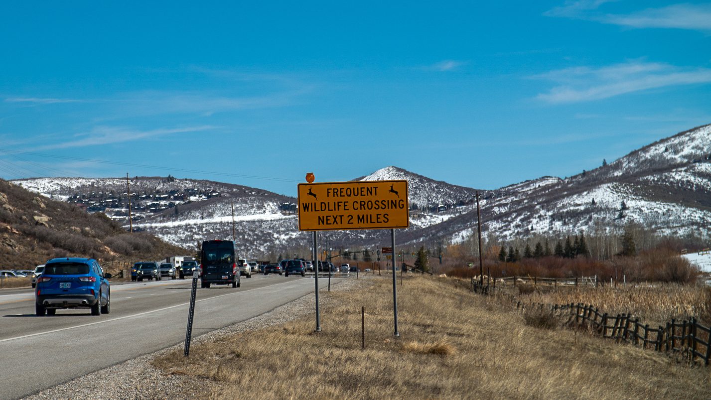 Wildlife crossing sign on 224.