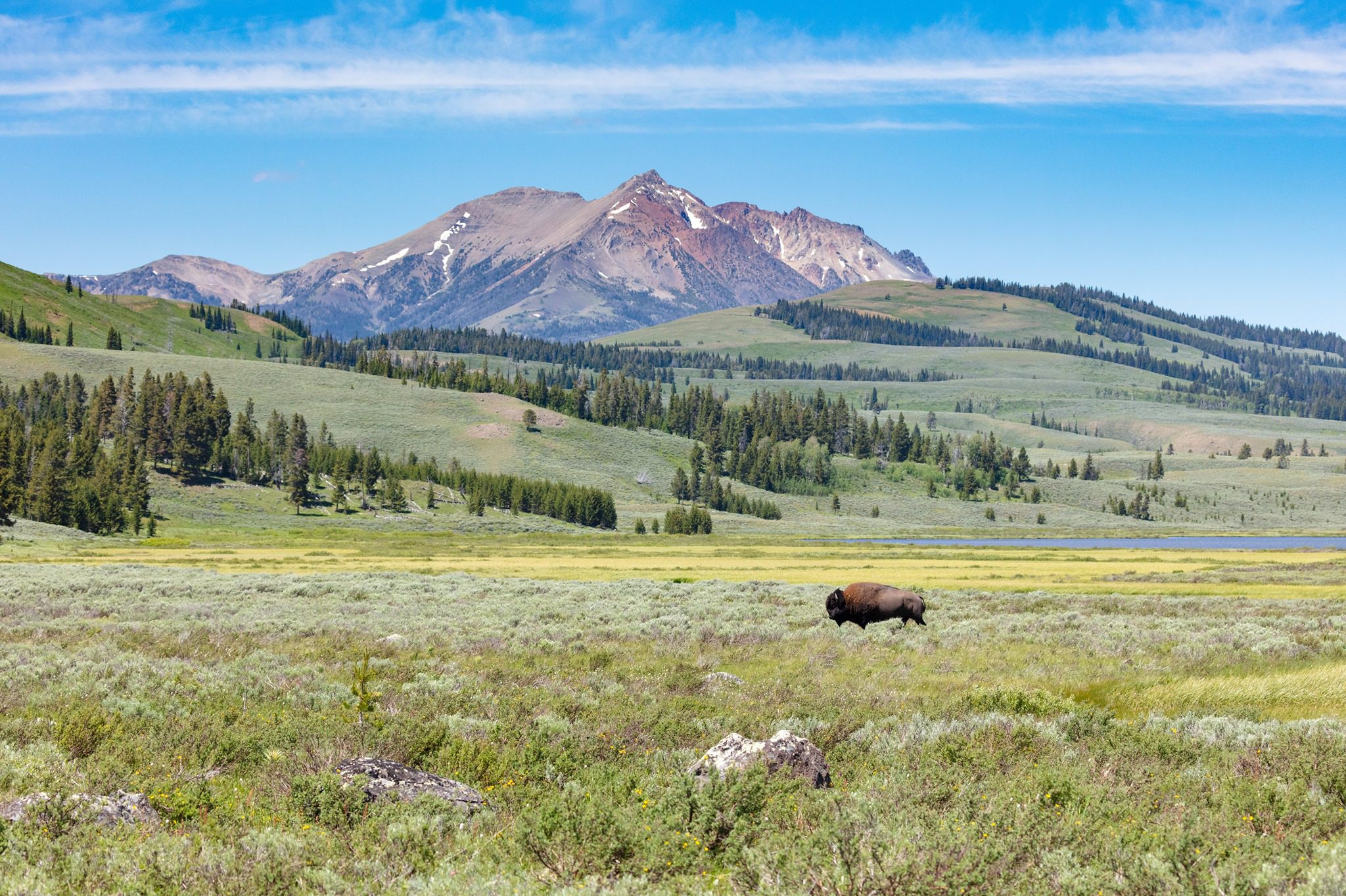 Yellowstone Food Line Announced: Everything to Know - Parade