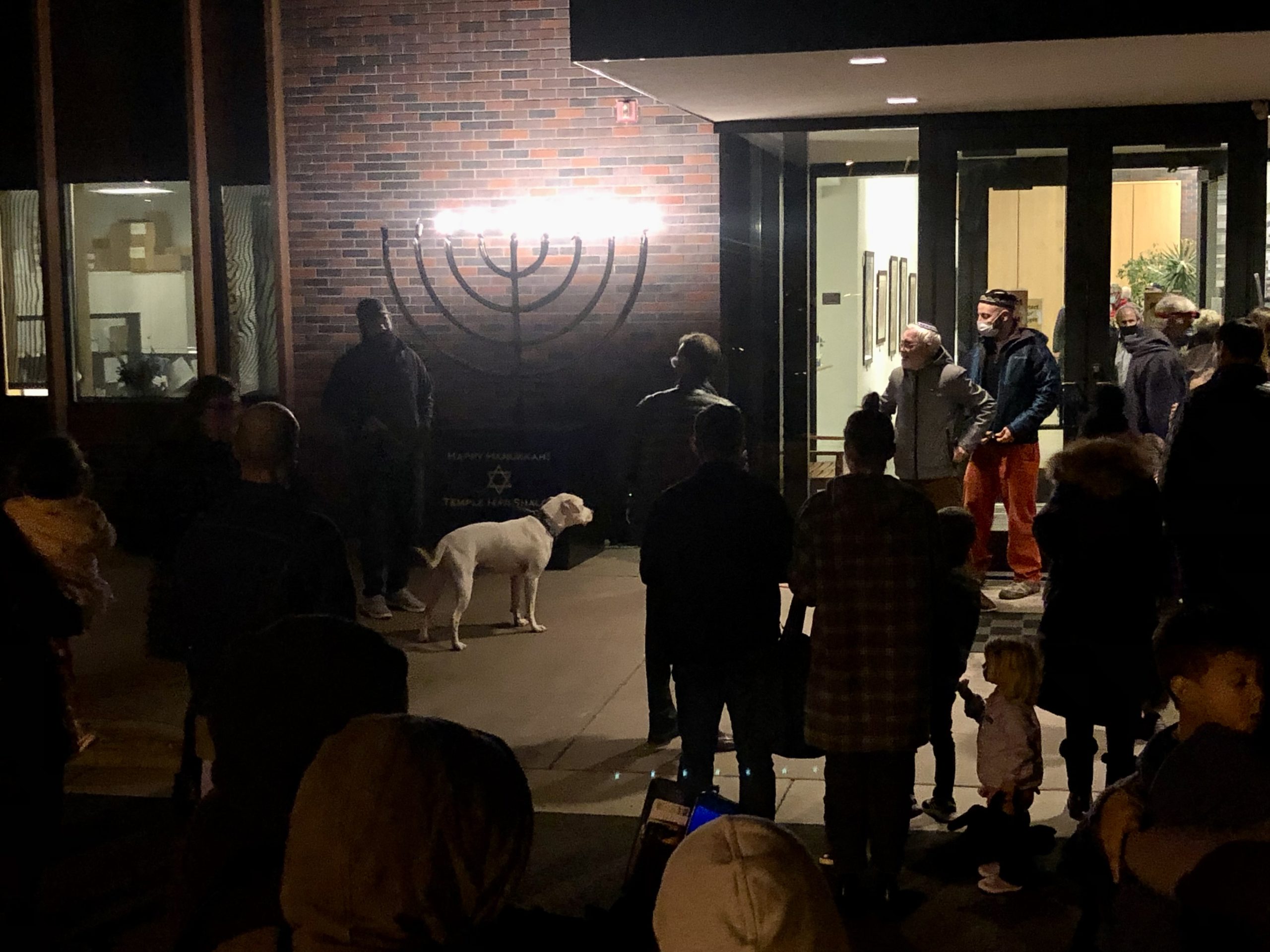 Gus the dog evn got in on the community'd celebration and candle lighting of the giant outdoor Hannukah menorah this year.