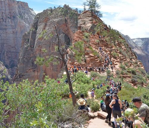 The Angels Landing Trail averages more than 1,200 hikers per day during peak season.