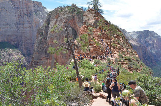 The Angels Landing Trail averages more than 1,200 hikers per day during peak season.