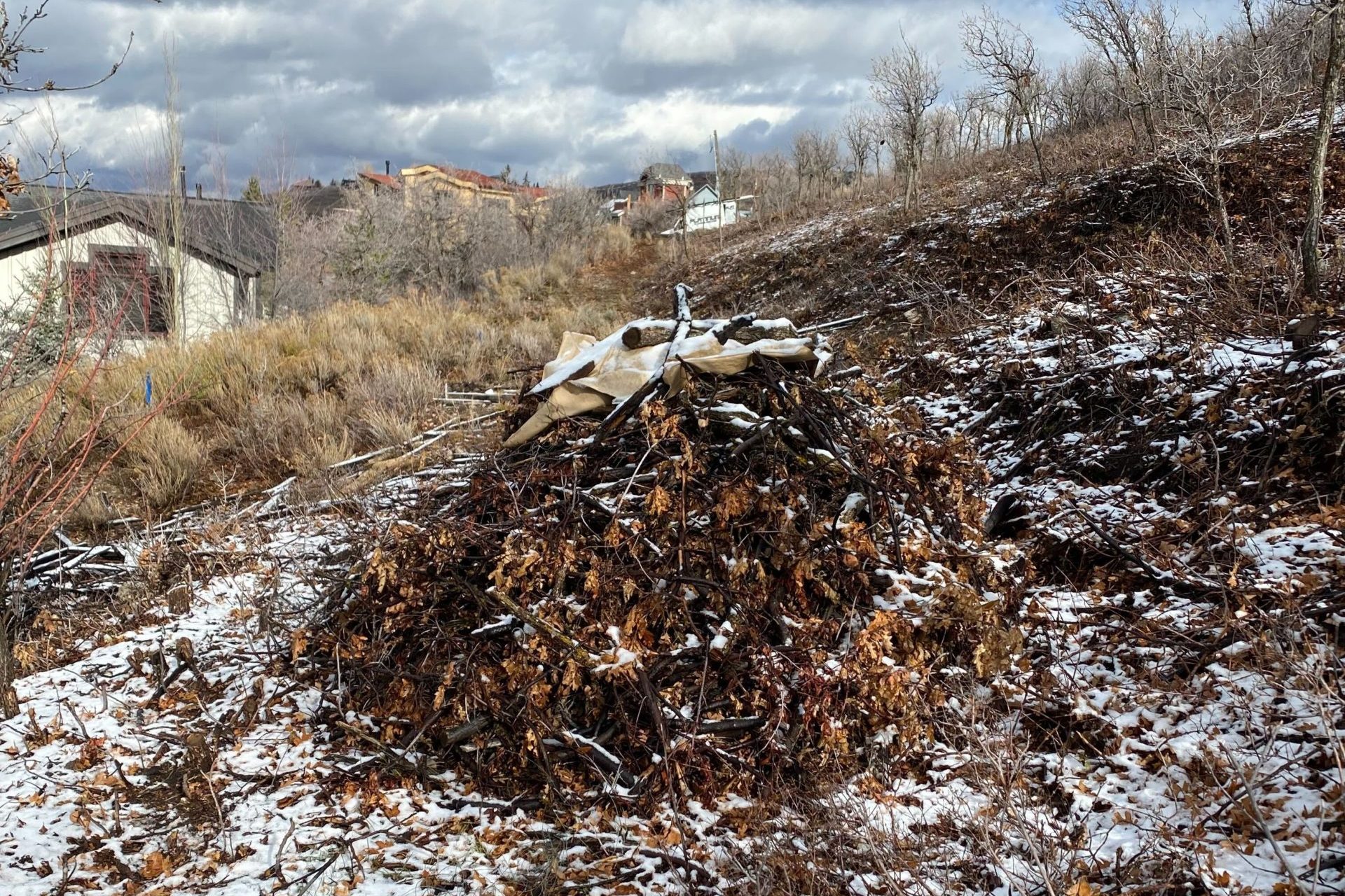 Area trails will remain open.