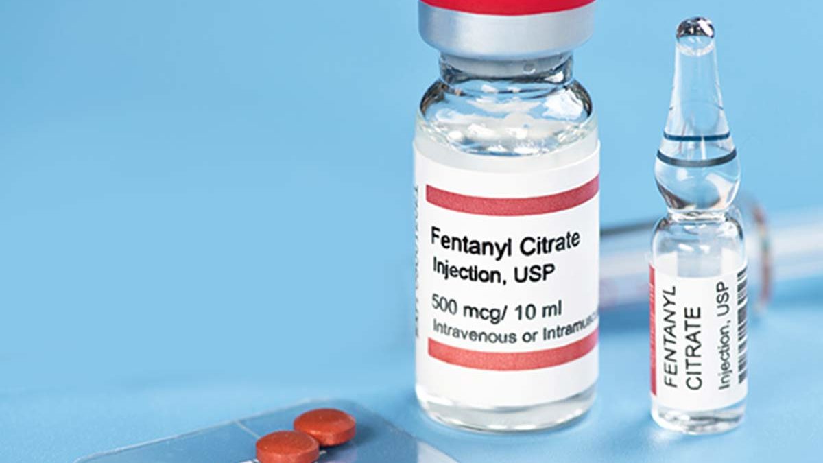 Fentanyl is a powerful synthetic opioid analgesic that is similar to morphine but is 50 to 100 times more potent.