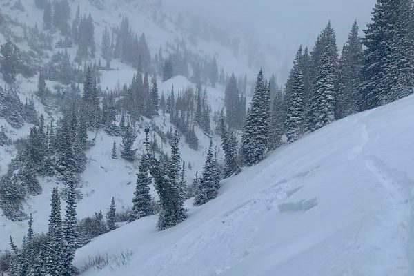Several avalanches were reported on Thursday, especially in Grizzly Gulch where several avalanche classes were being held, treating students to a firsthand experience of observing avalanche activity.