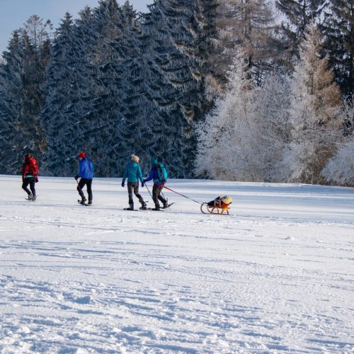 A guide to snowshoeing in and around Park City TownLift, Park City News