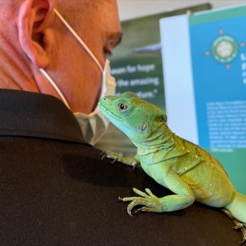 Animal care handlers and wildlife educators allow guests to get up close and personal with some featured animals.