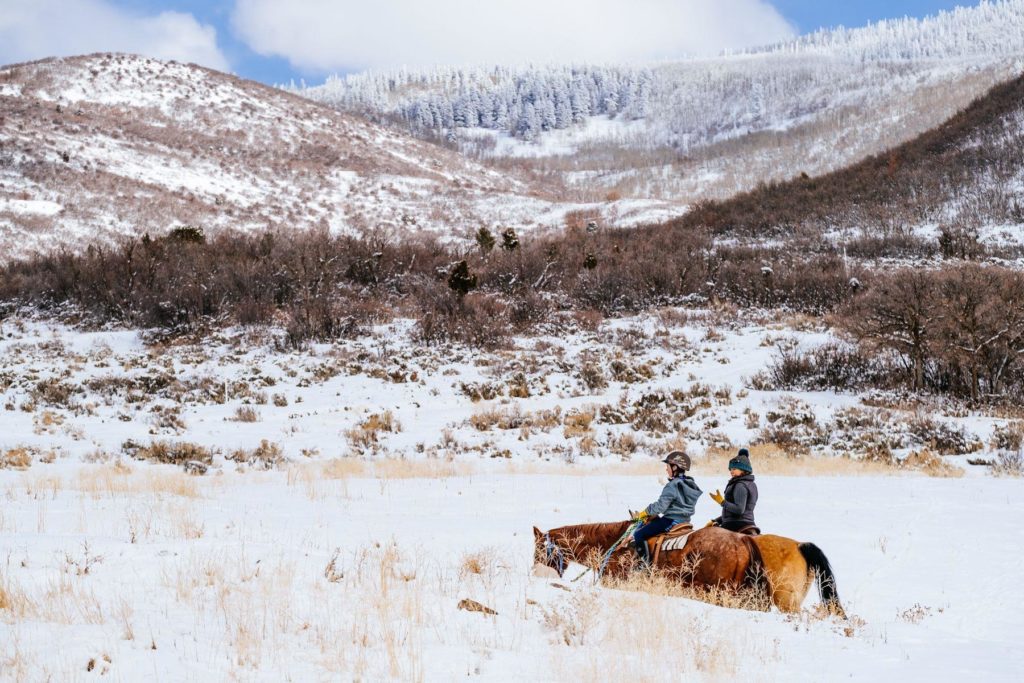Horseback riding at High Star Ranch.