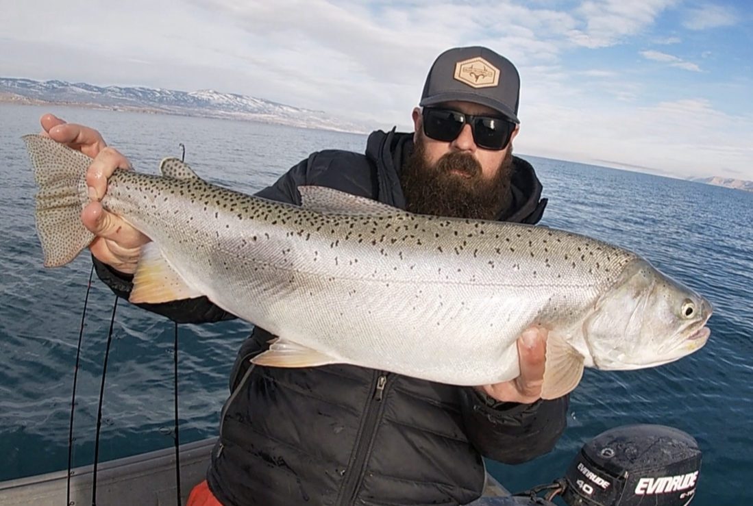 The 31" long Bear Lake Cutthroat Trout caught by Travis Hobbs.