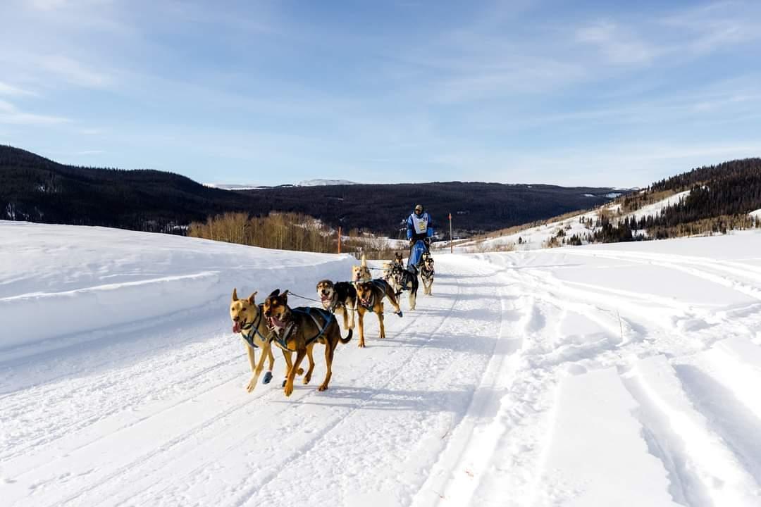 Fernando Ramirez (Rancho Luna Lobos) competes in the Pedigree Stage Stop Dog Sled Race in Wyoming.