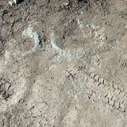 Tire marks near fossils at the Mill Canyon Dinosaur Tracksite in Moab, Utah on Jan. 30.