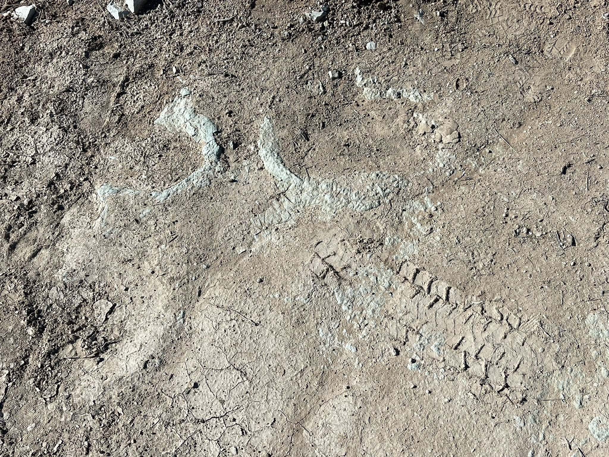 Tire marks near fossils at the Mill Canyon Dinosaur Tracksite in Moab, Utah on Jan. 30.