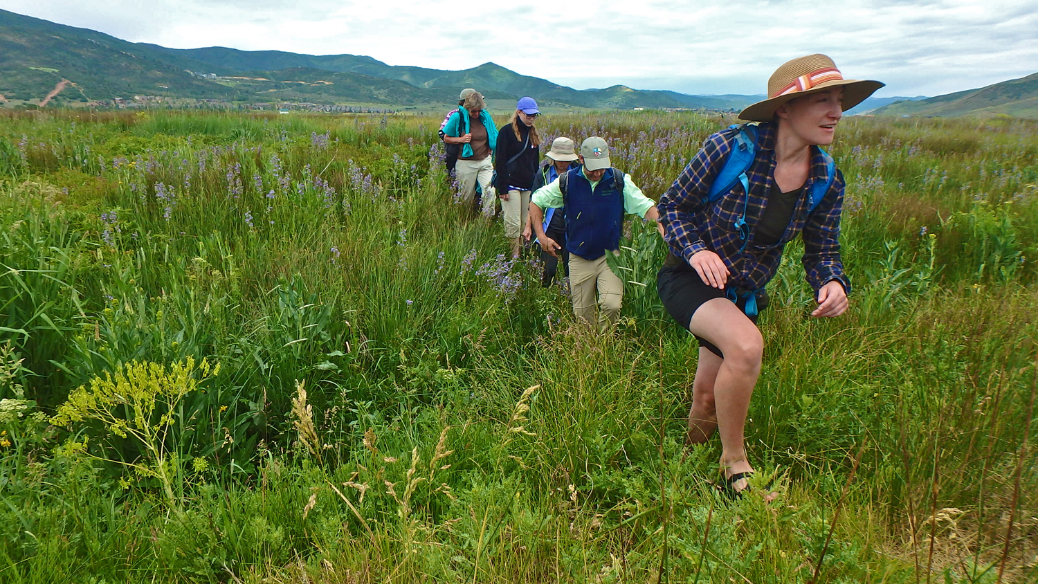 Nature Walk at Swaner Preserve.