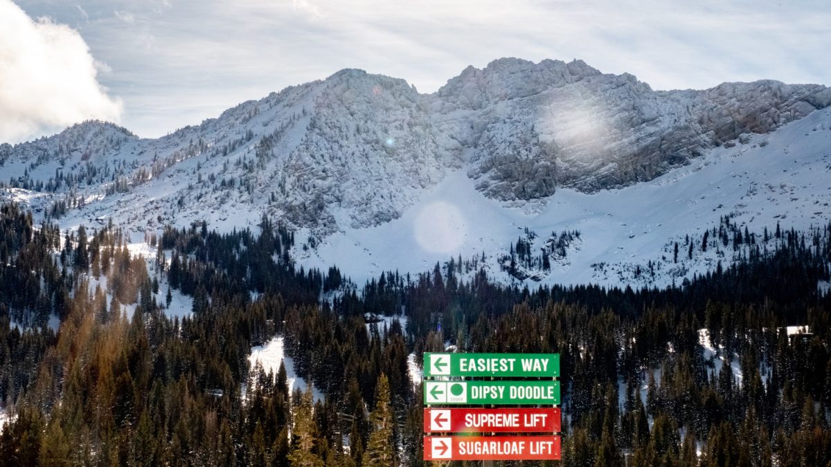 Uphill travel is now permitted on Collins Gulch and Grizzly Gulch for free skiing.