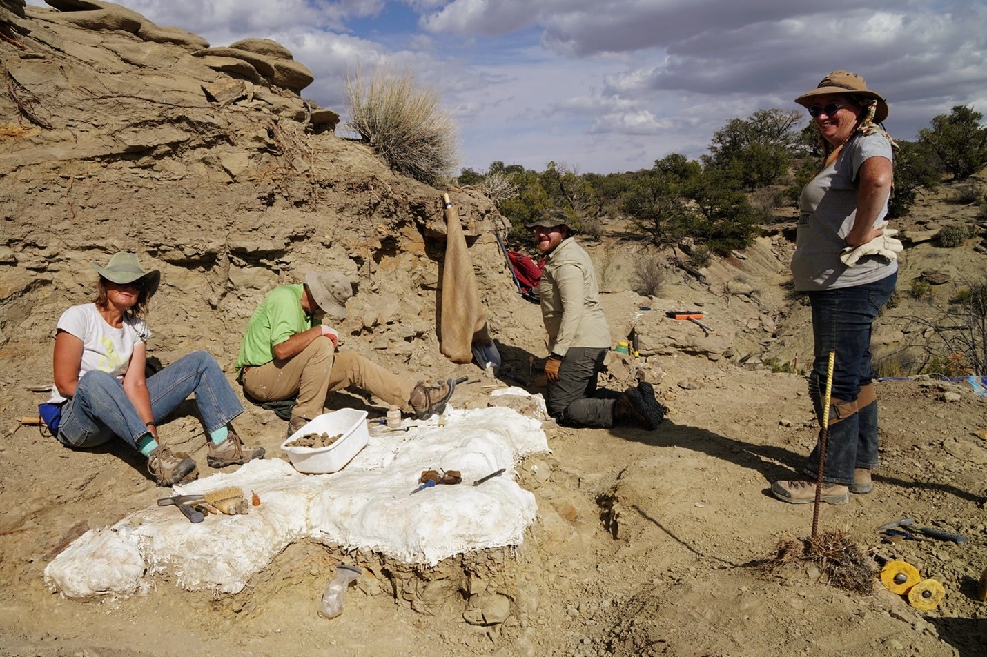 Volunteers from the Natural History Museum of Utah work at the T2 Tyrannosaur excavation site, located in the Kaiparowits Formation of Grand Staircase-Escalante National Monument. The site was discovered by Grand Staircase-Escalante National Monument paleontology program volunteer Taylor Barnette in November 2018.