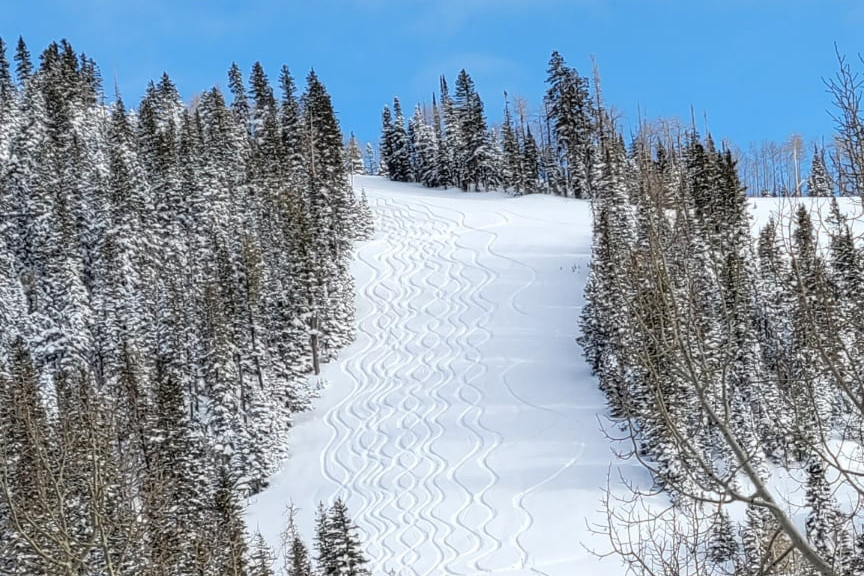 Eagle Point Resort is pressing charges against six “powder poachers” who trespassed the privately owned resort property and proceeded to ski down several of the western slopes, ruining the freshly powdered trails.
