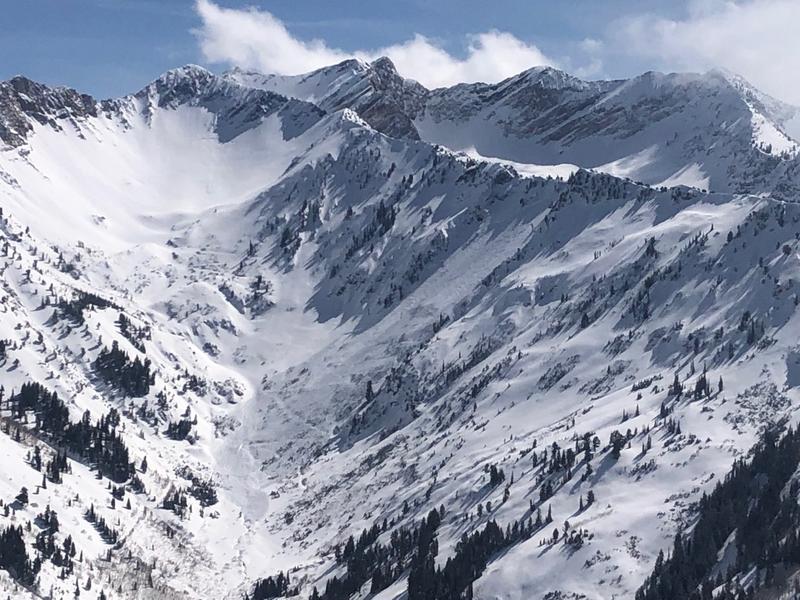 Avalanche in Big Cottonwood Canyon.