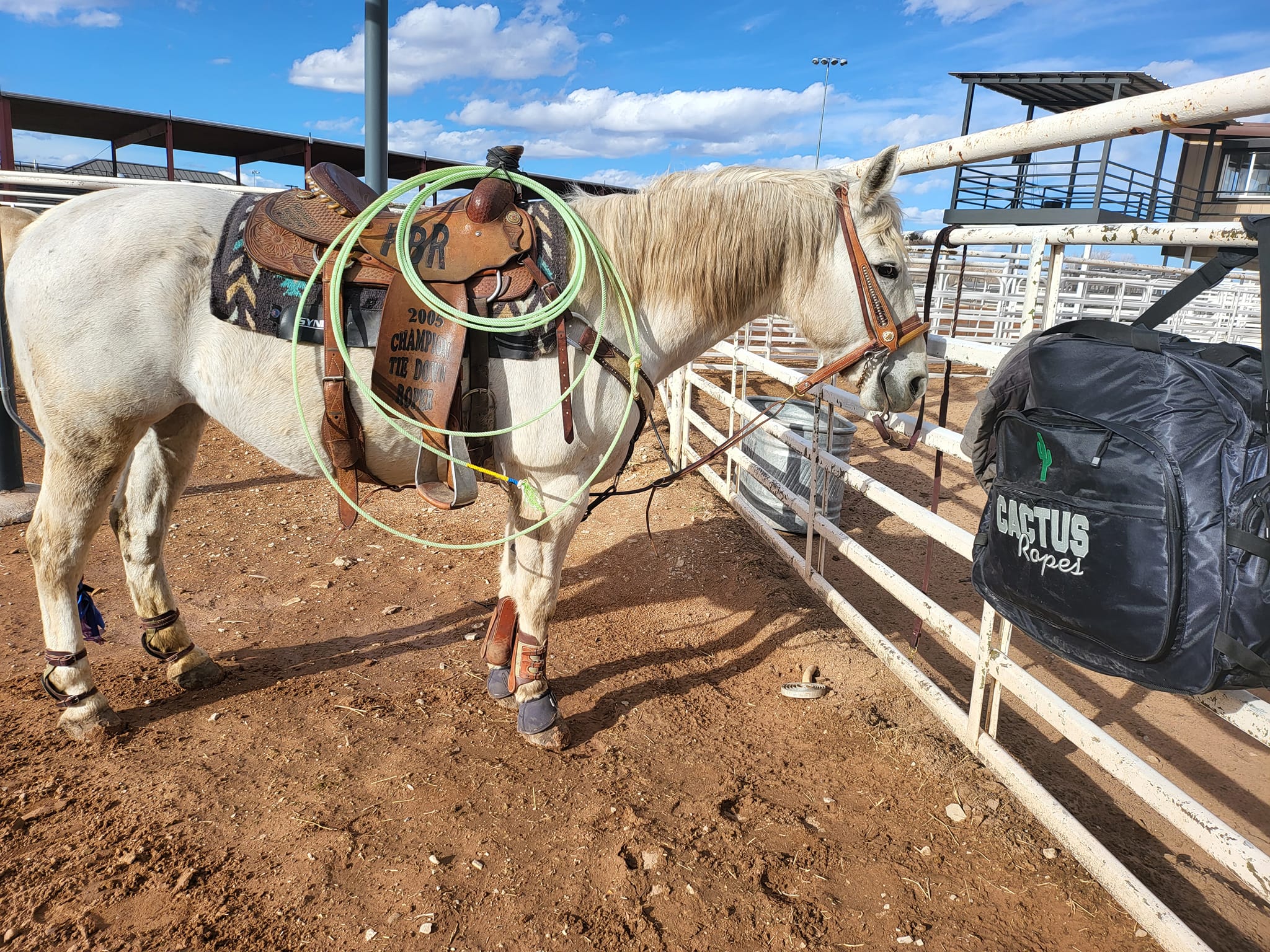 Helga, Dennis Wright's horse with which he competes as a team roper.