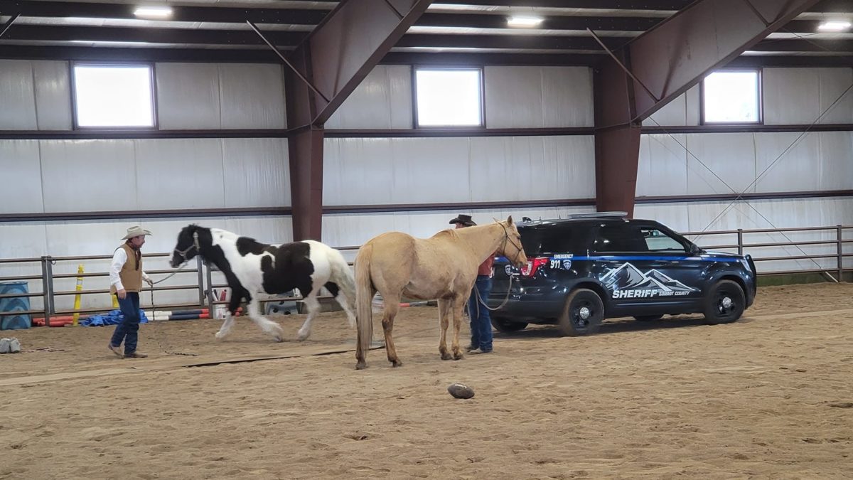 Summit County Sheriff horse training.