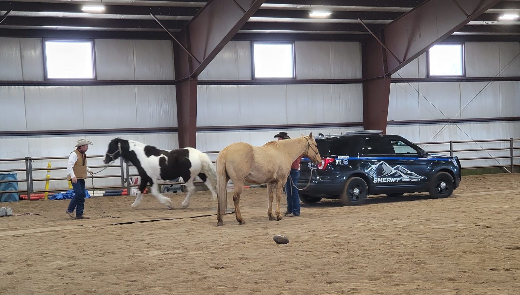 Summit County Sheriff horse training.