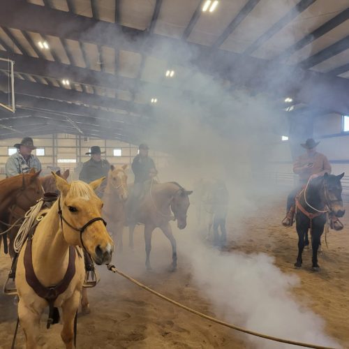 Summit County Sheriff horse training