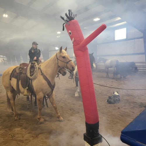 Summit County Sheriff horse training