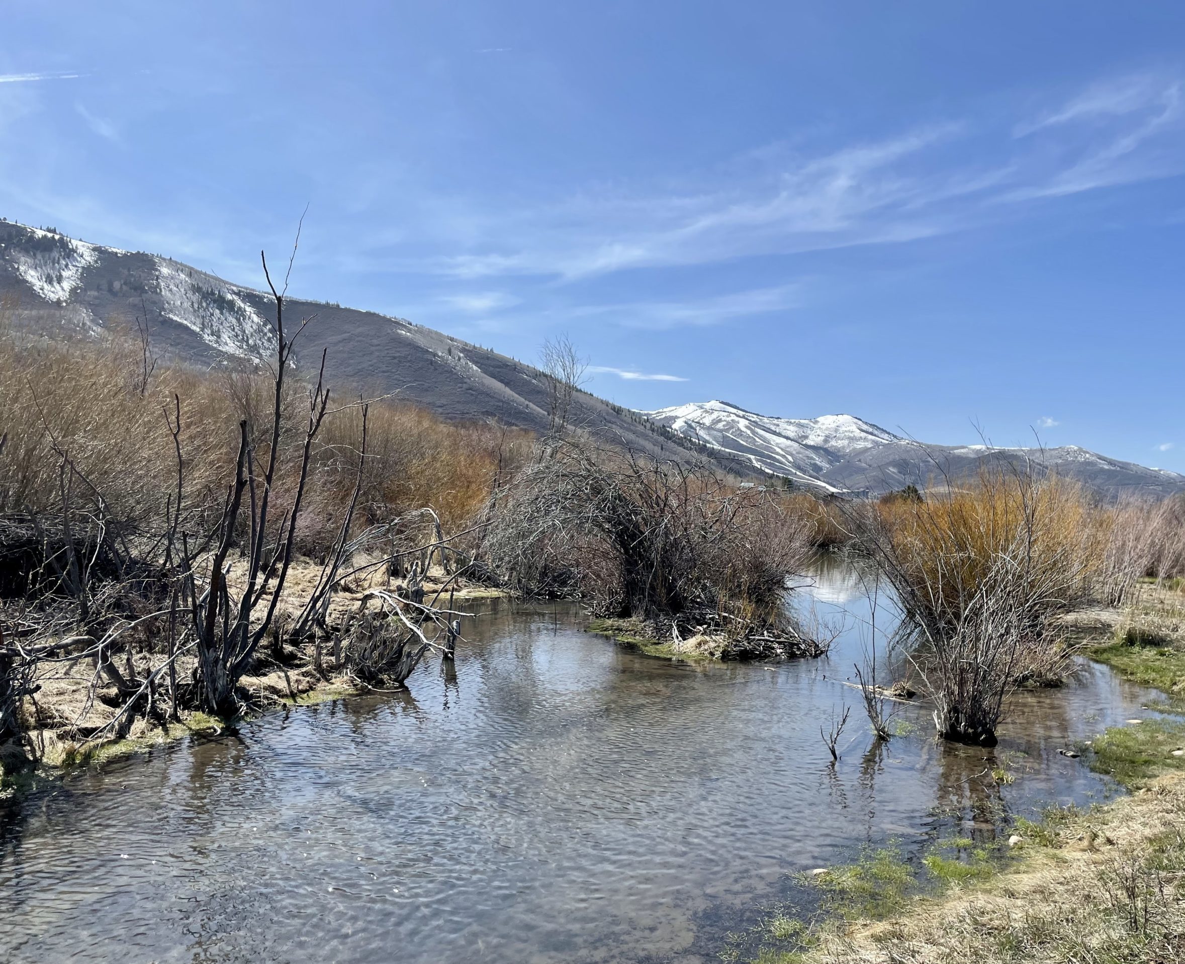 Utah Gov. Spencer Cox declared a state of emergency around the state's drought this week.