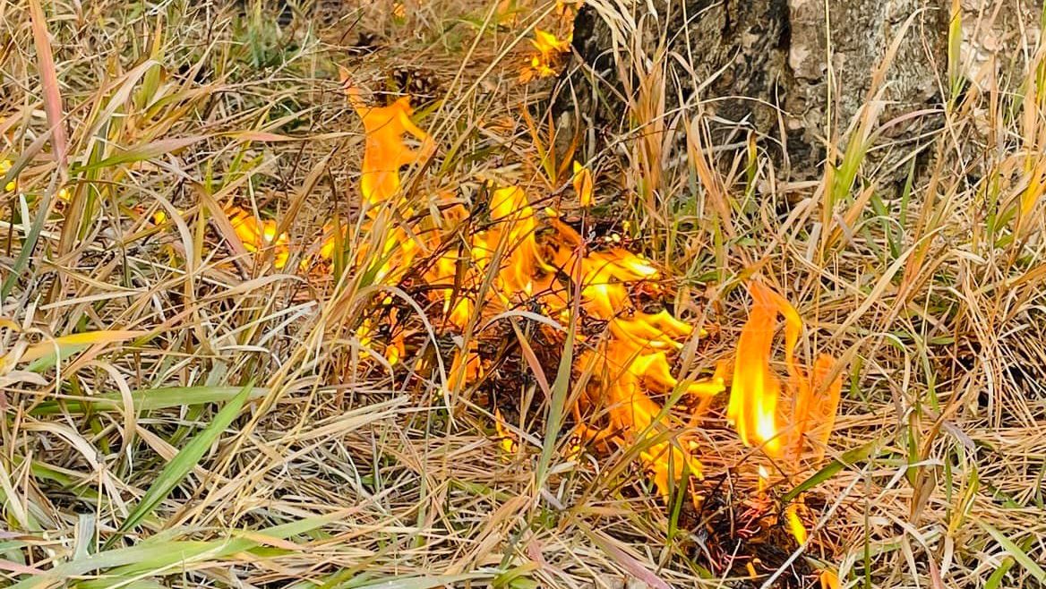 Prescribed burns were scheduled to start Thursday.