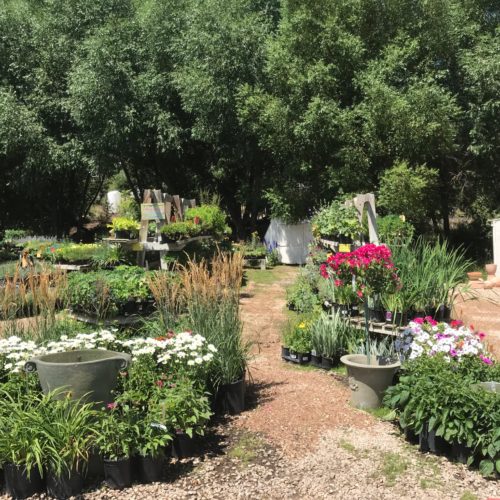 Local Business Spotlight Park City Gardens TownLift, Park City News