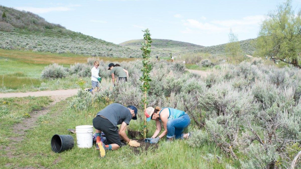 A Park City tree planting event in 2018.