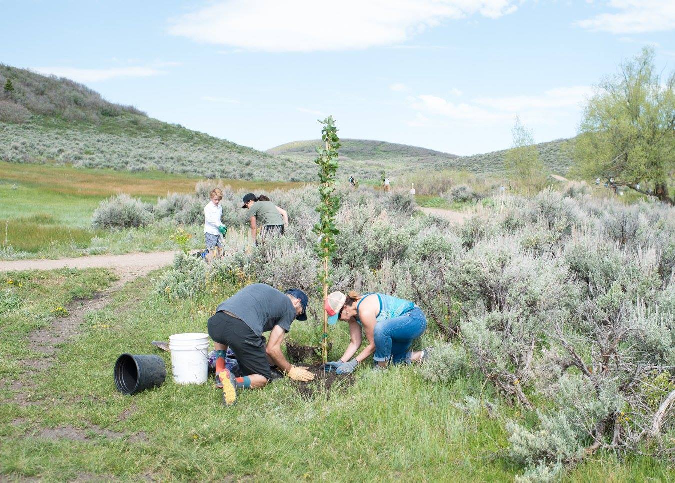 A Park City tree planting event in 2018.